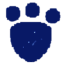 wildcat 